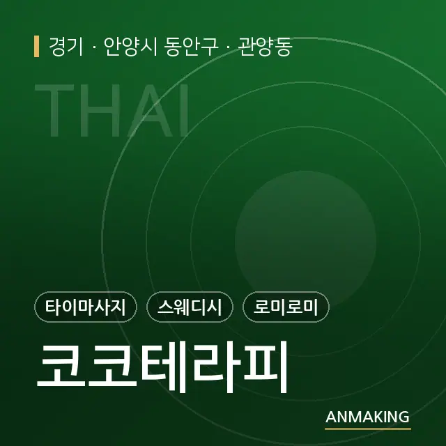 경기 안양시 동안구 코코테라피 안내 이미지