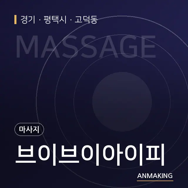 경기 평택시 브이브이아이피 안내 이미지