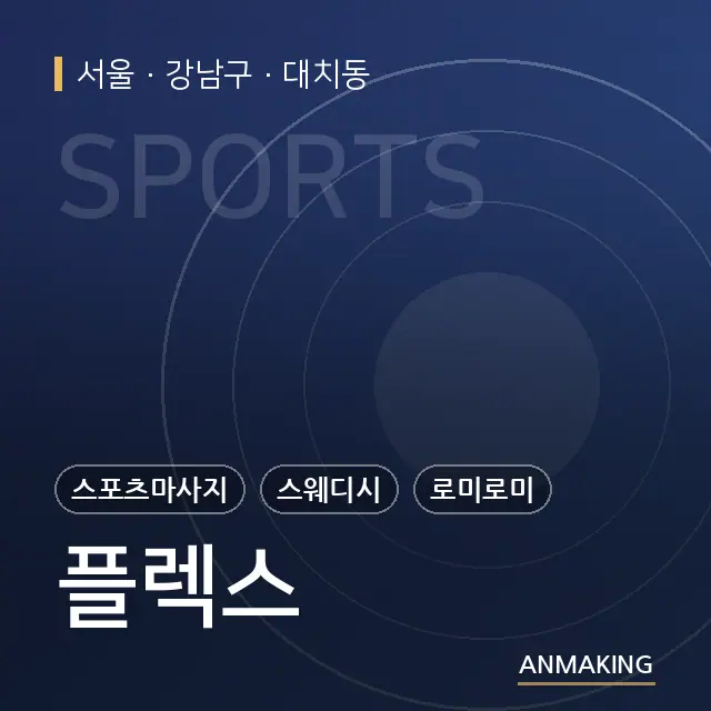 서울 강남구 플렉스 안내 이미지