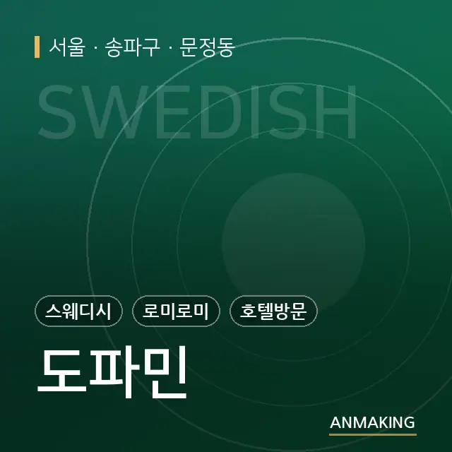 서울 송파구 도파민 안내 이미지