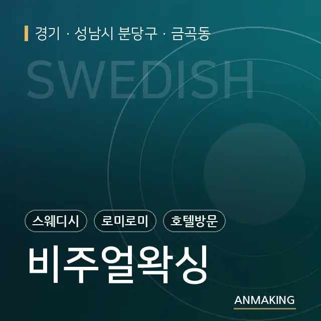 경기 성남시 분당구 비주얼왁싱 안내 이미지