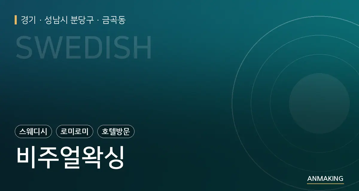 경기 성남시 분당구 비주얼왁싱 안내 이미지