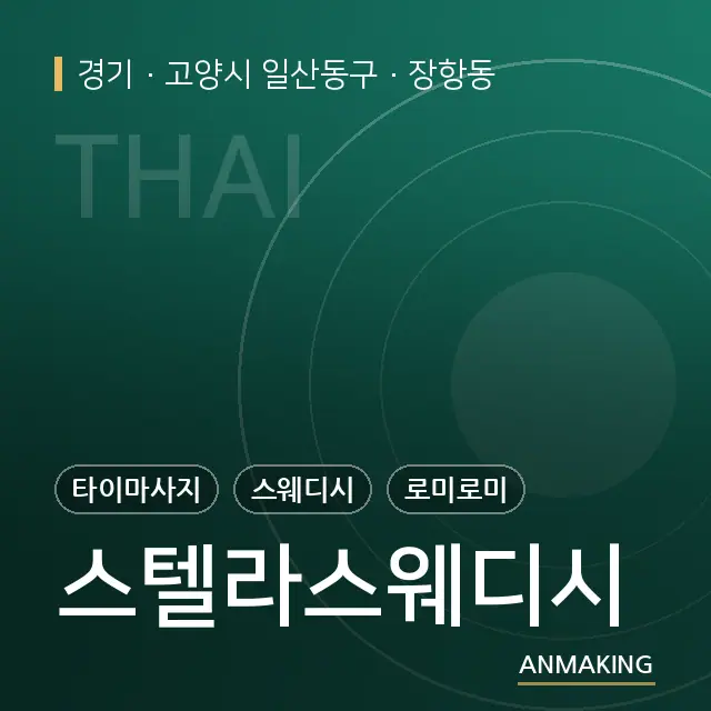 경기 고양시 일산동구 스텔라스웨디시 안내 이미지