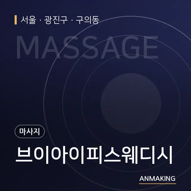 서울 광진구 브이아이피스웨디시 안내 이미지