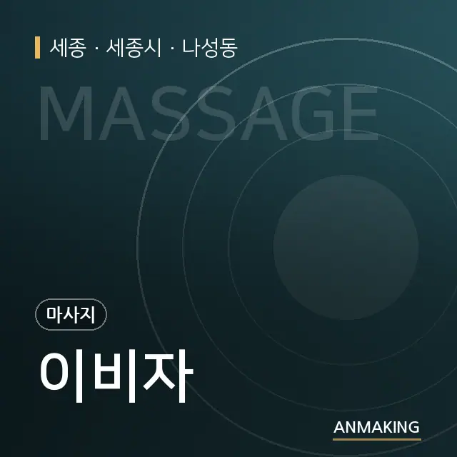 세종 세종시 이비자 안내 이미지