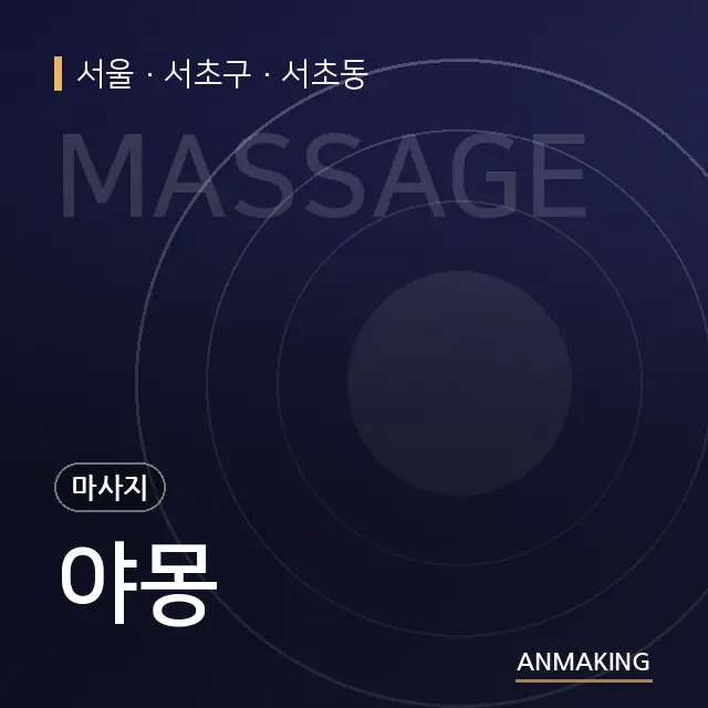 서울 서초구 야몽 안내 이미지