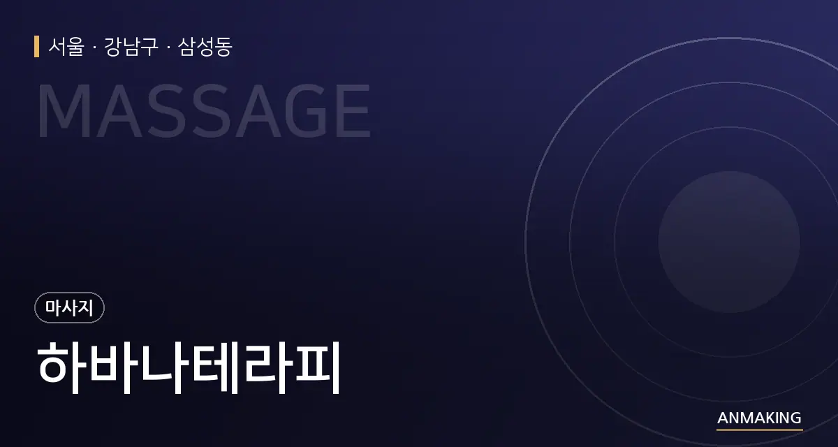 서울 강남구 하바나테라피 안내 이미지