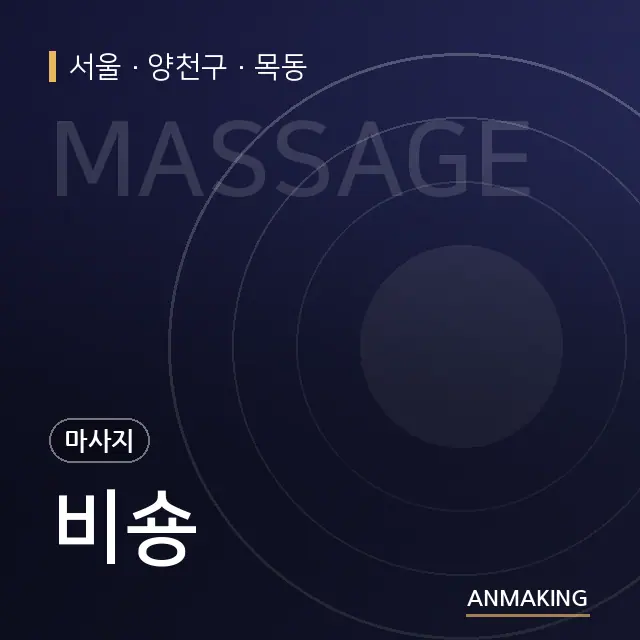 서울 양천구 비숑 안내 이미지