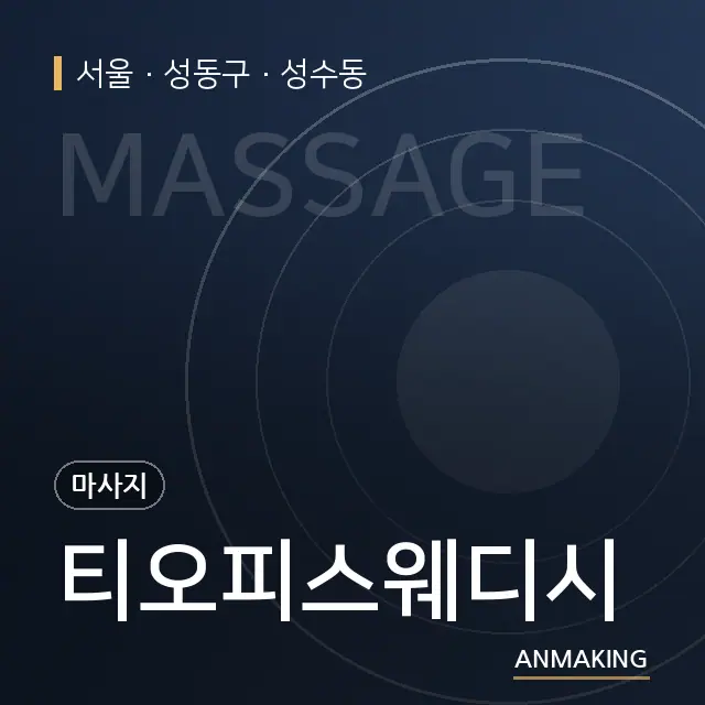 서울 성동구 티오피스웨디시 안내 이미지