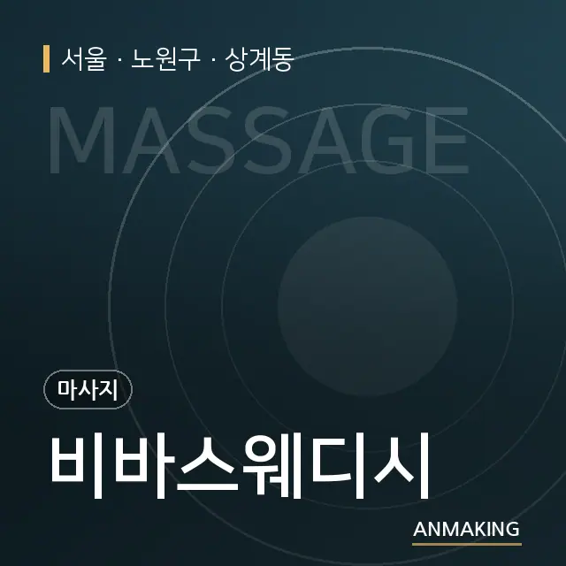 서울 노원구 비바스웨디시 안내 이미지