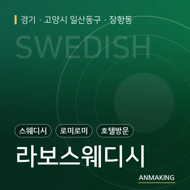 경기 고양시 일산동구 라보스웨디시 안내 이미지