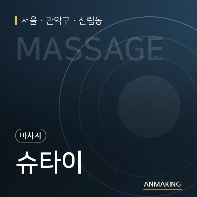 서울 관악구 슈타이 안내 이미지