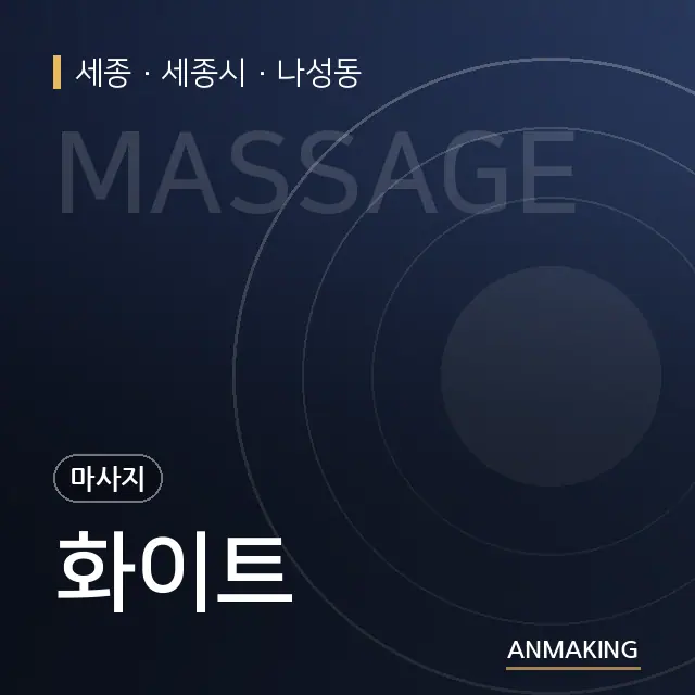 세종 세종시 화이트 안내 이미지