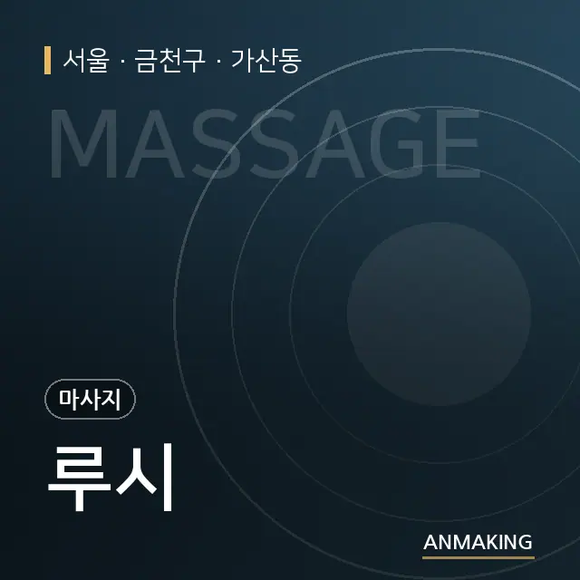 서울 금천구 루시 안내 이미지