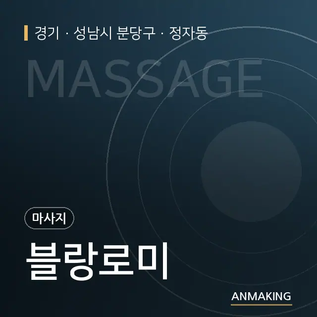 경기 성남시 분당구 블랑로미 안내 이미지