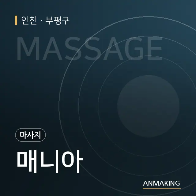 인천 부평구 매니아 안내 이미지