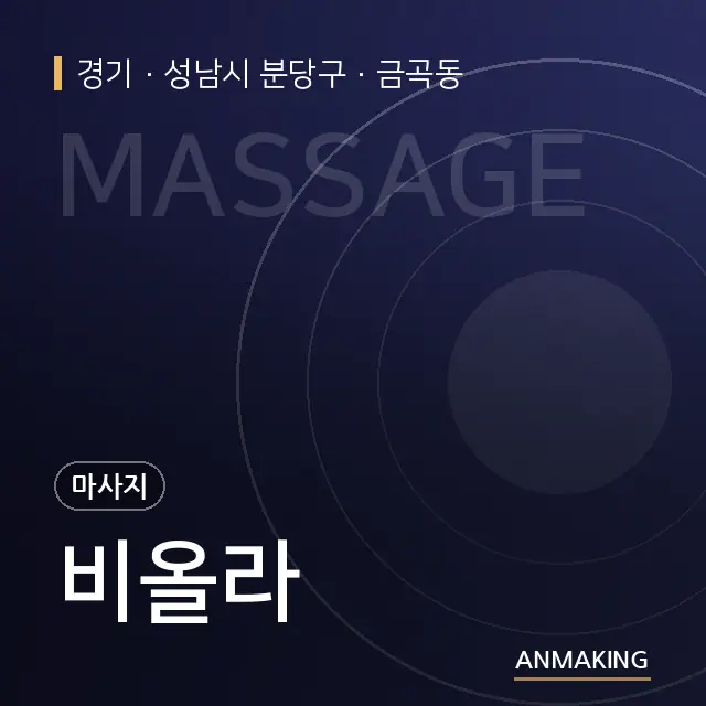 경기 성남시 분당구 비올라 안내 이미지