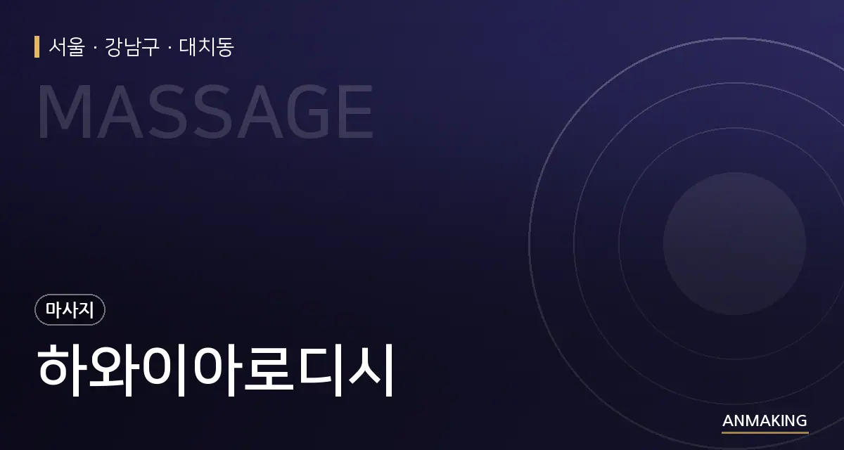 서울 강남구 하와이아로디시 안내 이미지