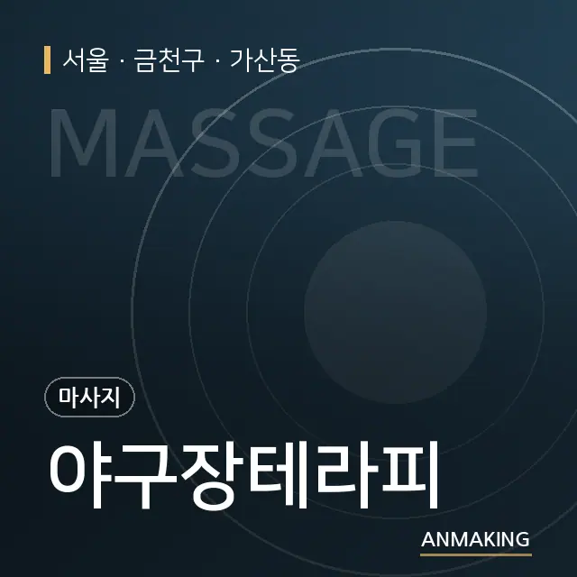 서울 금천구 야구장테라피 안내 이미지