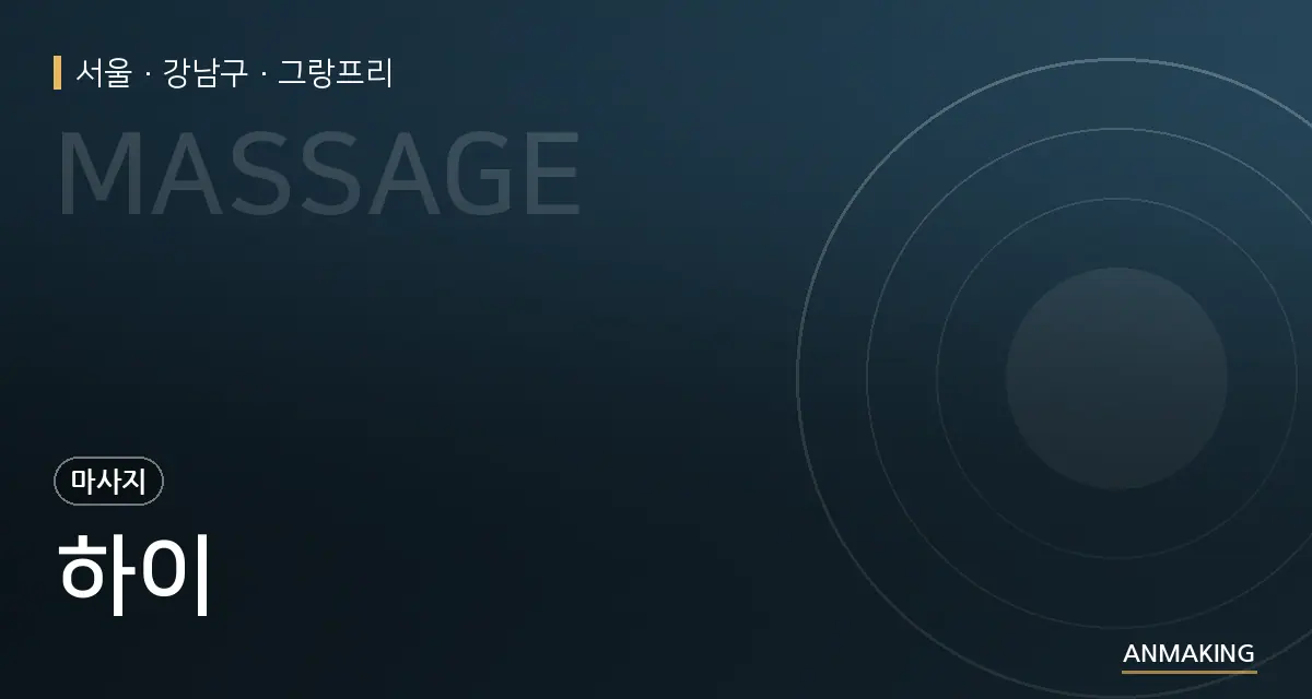 서울 강남구 하이 안내 이미지