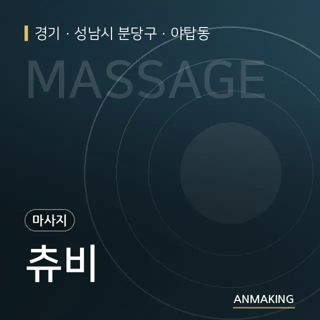 경기 성남시 분당구 츄비 안내 이미지