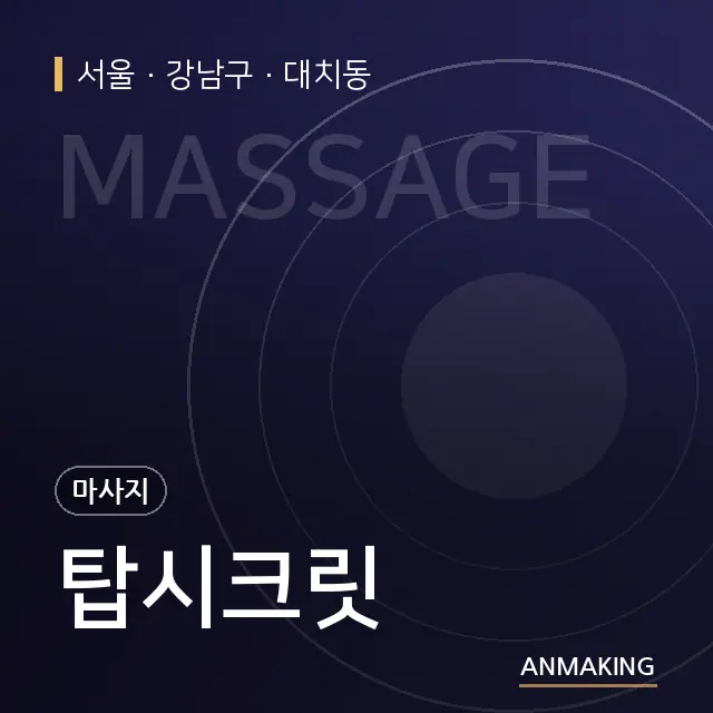 서울 강남구 탑시크릿 안내 이미지
