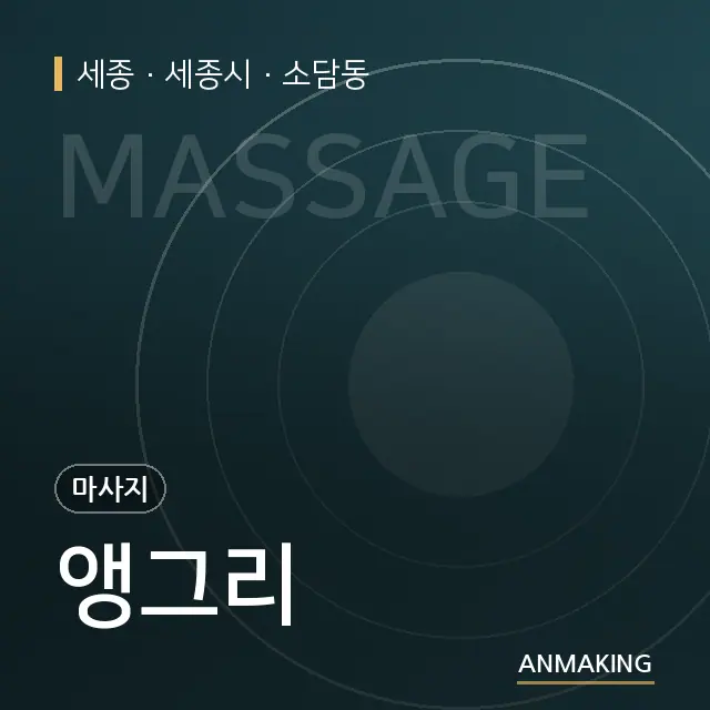 세종 세종시 앵그리 안내 이미지