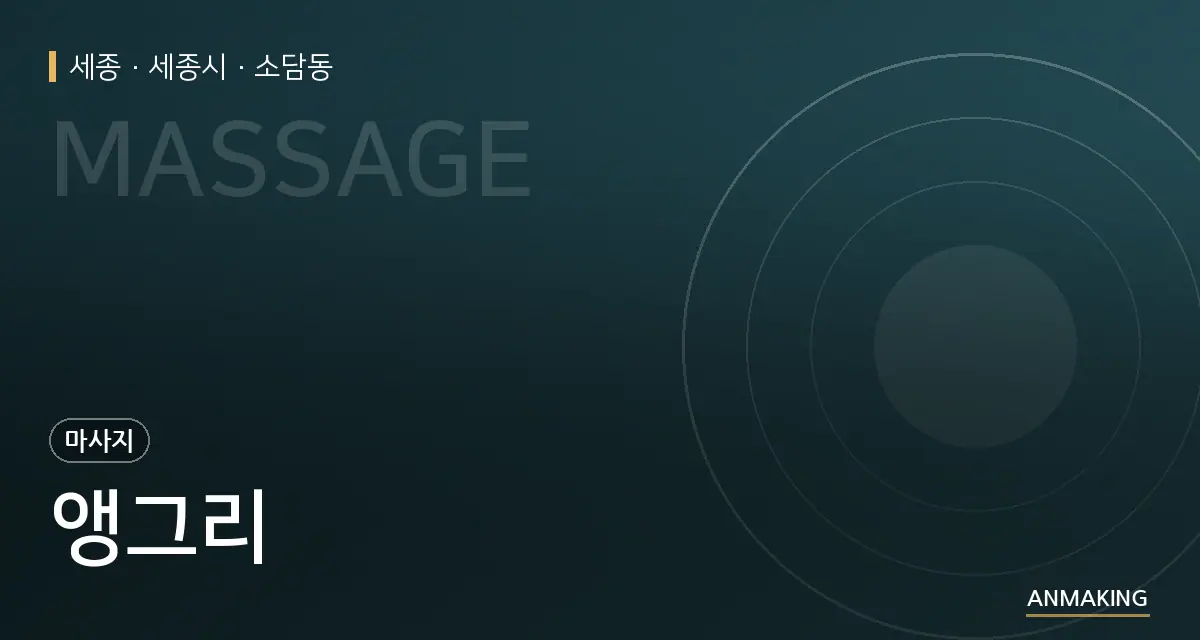 세종 세종시 앵그리 안내 이미지
