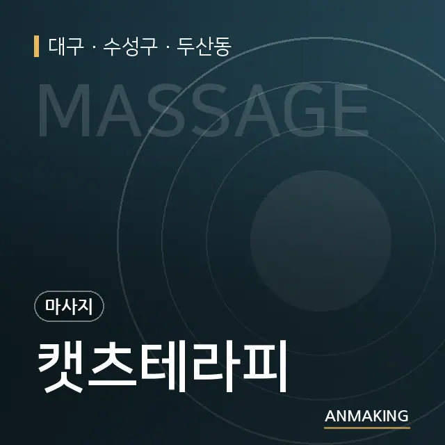 대구 수성구 캣츠테라피 안내 이미지