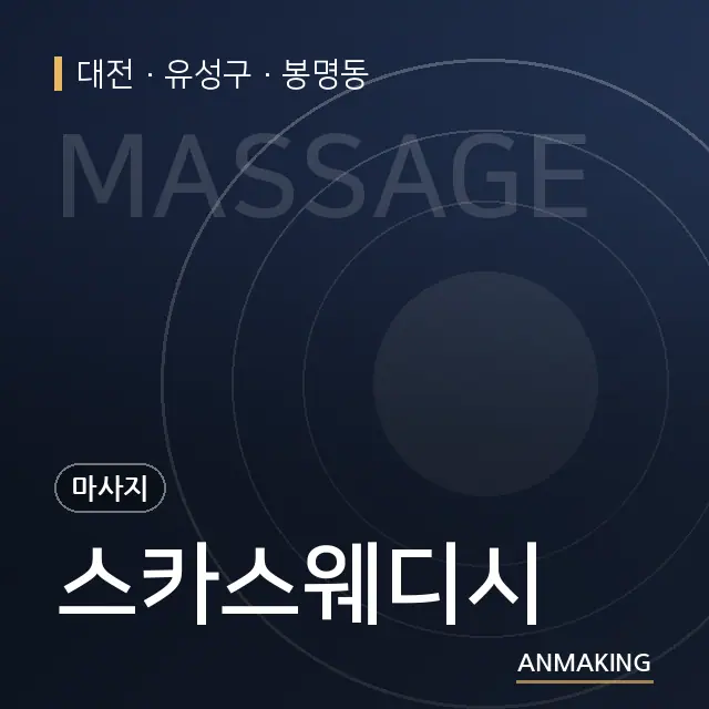 대전 유성구 스카스웨디시 안내 이미지