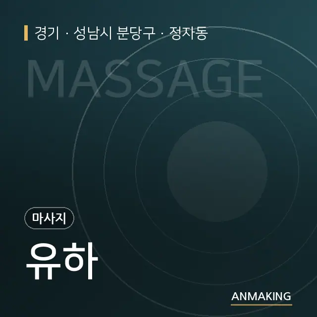 경기 성남시 분당구 유하 안내 이미지