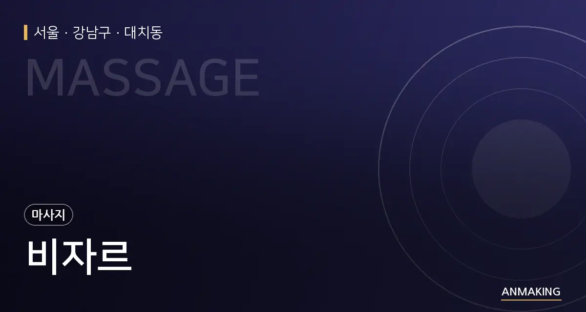 서울 강남구 비자르 안내 이미지