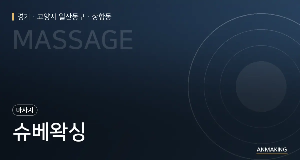 경기 고양시 일산동구 슈베왁싱 안내 이미지