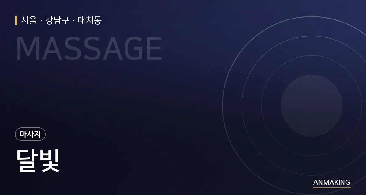 서울 강남구 달빛 안내 이미지