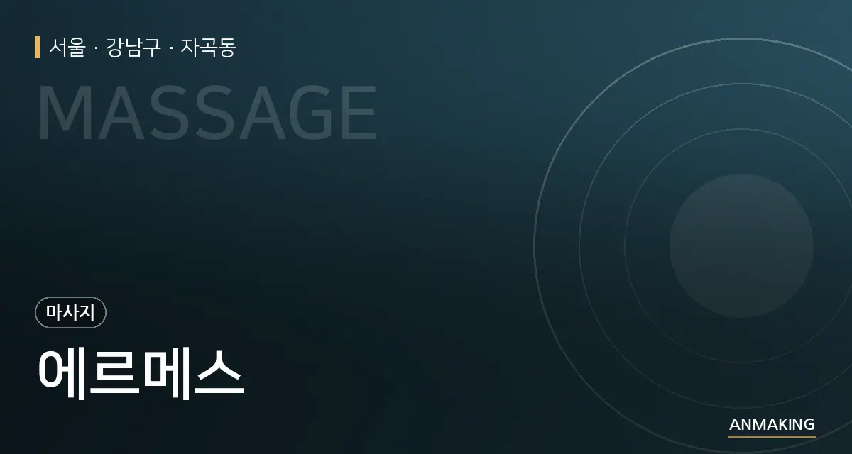 서울 강남구 에르메스 안내 이미지