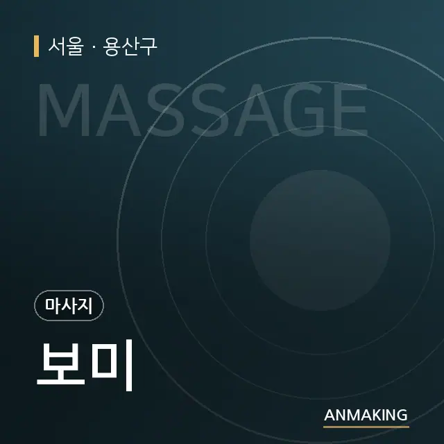 서울 용산구 보미 안내 이미지