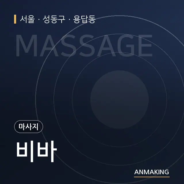 서울 성동구 비바 안내 이미지
