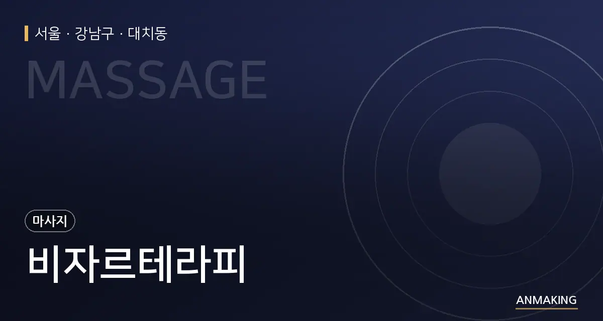 서울 강남구 비자르테라피 안내 이미지