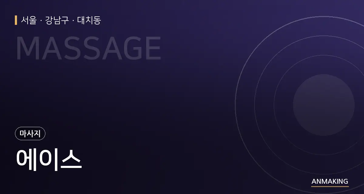서울 강남구 에이스 안내 이미지