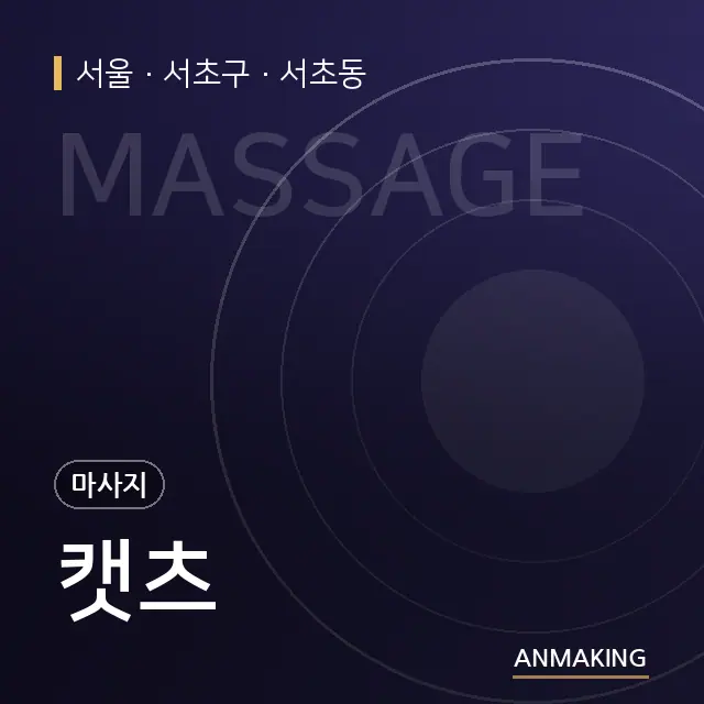서울 서초구 캣츠 안내 이미지