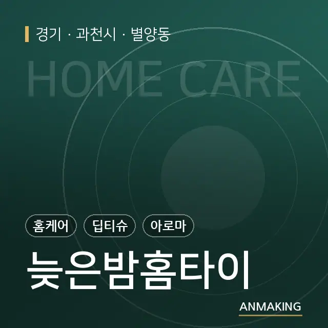 경기 과천시 늦은밤홈타이 안내 이미지