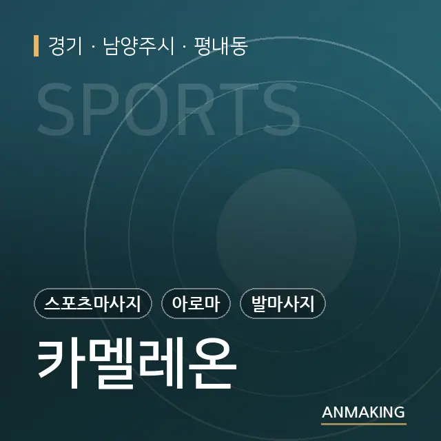 경기 남양주시 카멜레온 안내 이미지
